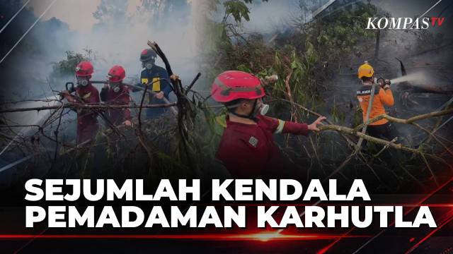 Perjuangan Petugas dan Relawan Padamkan Karhutla, Sumber Air hingga Medan Sulit Jadi Kendala!