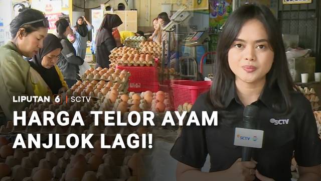 MBG Setop Saat Libur Sekolah, Harga Telur Ayam Anjlok Lagi | Liputan 6