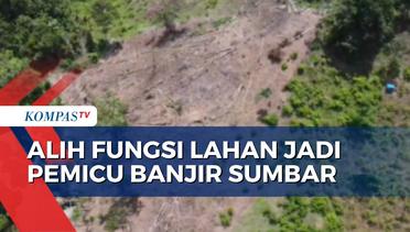 JPIK Sebut Banjir Sumbar Dipicu Alih Fungsi Lahan dan Aktivitas Illegal Logging