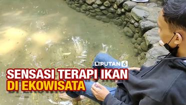 Rasakan Sensasi Terapi Ikan di Ekowisata Sungai Mudal Kulon Progo