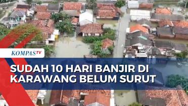 Sudah 10 Hari Banjir Rendam Permukiman Warga di Karawang