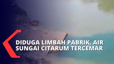 Sungai Citarum Tercemar Cairan Berwarna Hijau Pekat, Diduga dari Limbah Pabrik Kertas dan Kimia!