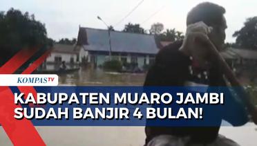 Sudah 4 Bulan Banjir Genangi Ratusan Rumah Warga di Kabupaten Muaro Jambi, Apa Solusi Pemerintah?