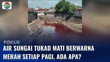 Ngeri! Air di Sungai Tukad Mati Berwarna Merah Seperti Darah Tiap Pagi Hari | Fokus