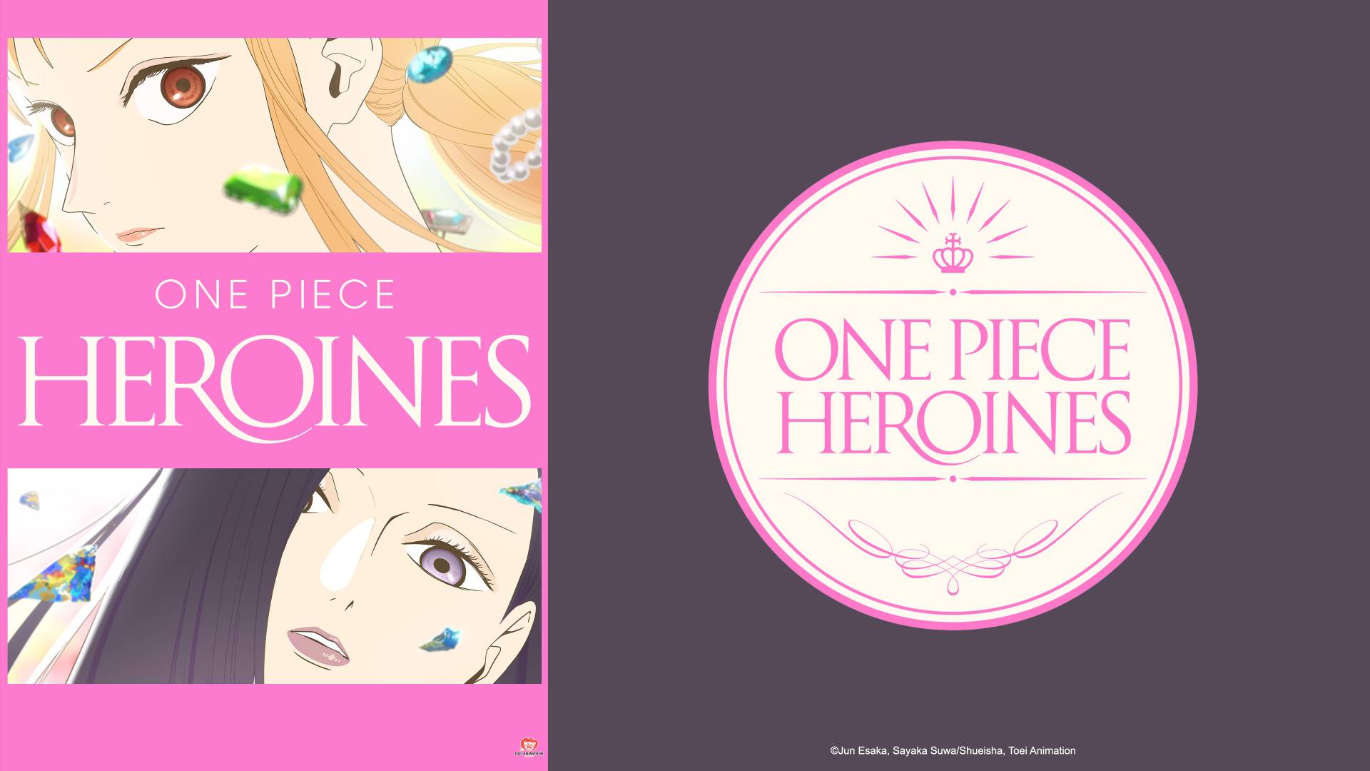 One Piece: Heroines