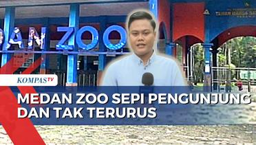 Update Kondisi Satwa dan Fasilitas Medan Zoo yang Memprihatinkan