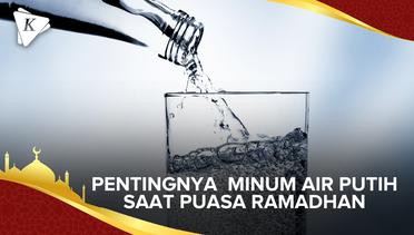 Minum Air Putih Sangat Penting Saat Puasa Ramadhan