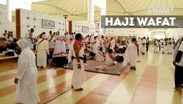 ENAM PLUS: Penyakit Jantung dan Pembuluh Darah Penyebab Wafatnya Jemaah Haji Indonesia