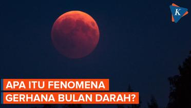 Siap-siap, Gerhana Bulan Darah Akan Sambangi Indonesia 27 Juli 2023