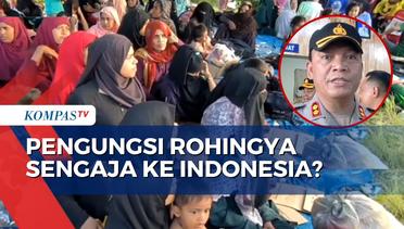 Polisi Ungkap Pengungsi Rohingya Sengaja Jadikan Indonesia Negara Tujuan Bukan Transit