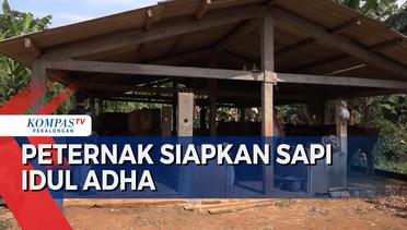 Peternak di Semarang Siapkan 10 Ekor Sapi dan Kambing untuk Idul Adha