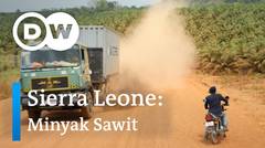 DW Going Green - Sierra Leone: Minyak Sawit