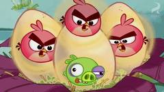 Angry Bird Toons - Egg Sounds