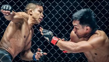 The Best Of Bibiano Fernandes In ONE Championship