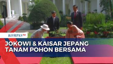 Kaisar Naruhito dan Permaisuri Masako Tanam Pohon Bersama Jokowi di Istana Bogor