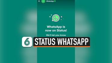 Heboh, Whatsapp Unggah Status Untuk Para Pengguna Aplikasinya