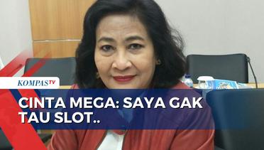Cinta Mega Bantah Main Slot, Ketua DPD PDI-P: Mau Slot atau Gim Tetap Salah, Titik!