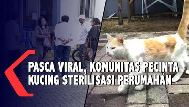 Komunitas Pecinta Kucing Sterilisasi Perumahan Pasca Viral