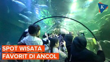Seaworld dan Dunia Fantasi Jadi Spot Wisata Favorit di Ancol