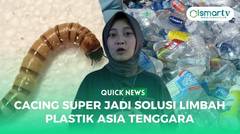QUICK NEWS: CACING SUPER JADI SOLUSI LIMBAH PLASTIK DI ASIA TENGGARA