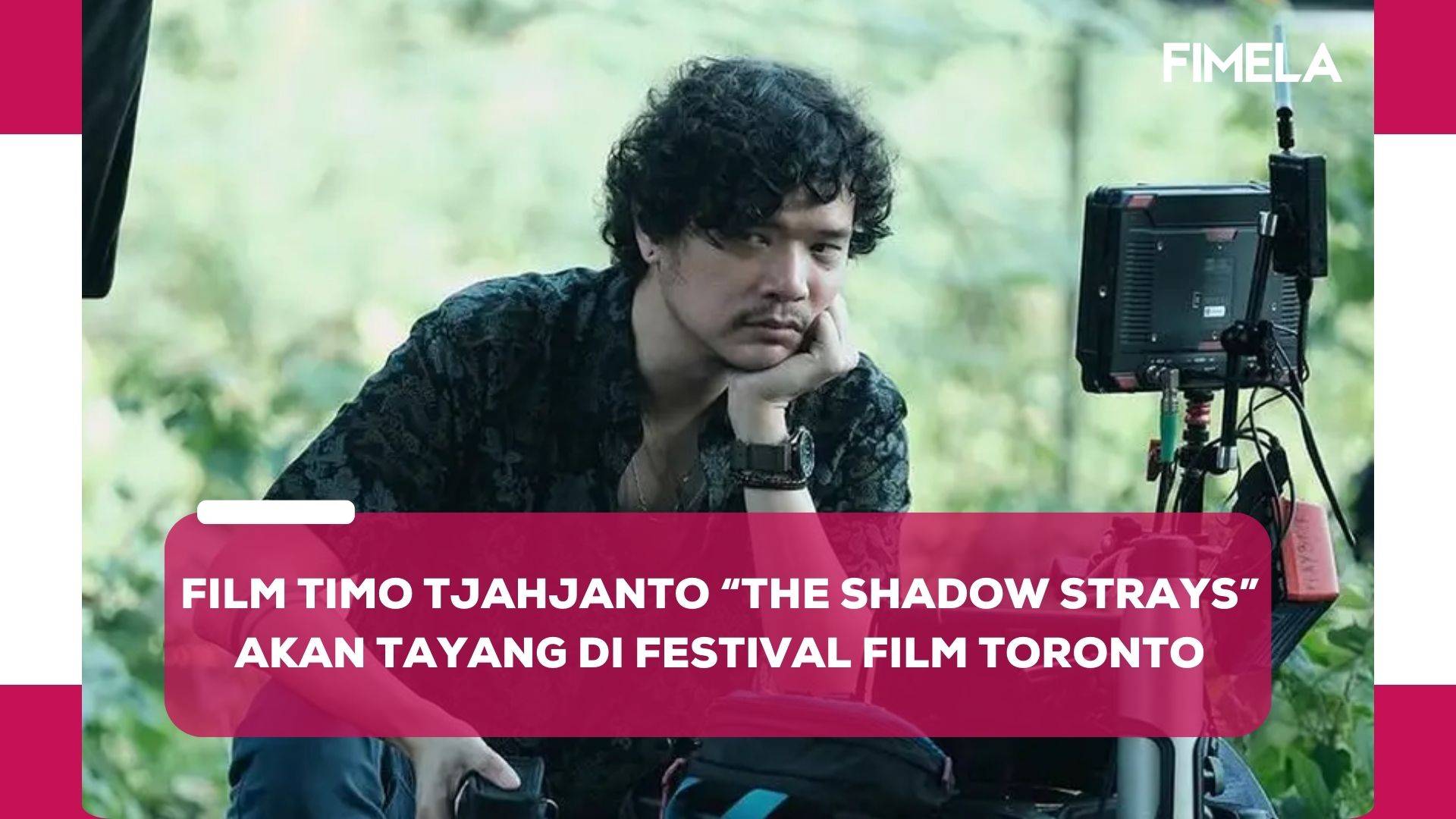 The shadow strays 2024