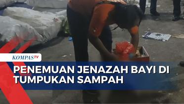 Kronologi Penemuan Jenazah Bayi di Tumpukan Sampah Tangerang Selatan