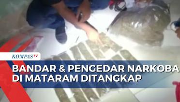 Terciduk Simpan 5 Kilogram Ganja dan 13,74 Gram Sabu, 4 Orang di Kota Mataram Ditangkap!
