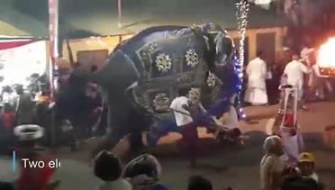 Detik-Detik Gajah Mengamuk Saat Pawai Umat Buddha Sri Lanka, Melukai 18 Orang