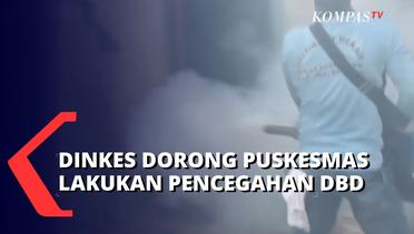 Dinkes Palembang Dorong Kecamatan & Puskesmas Lakukan Pencegahan DBD: Tingkatkan Penerapan 3M!