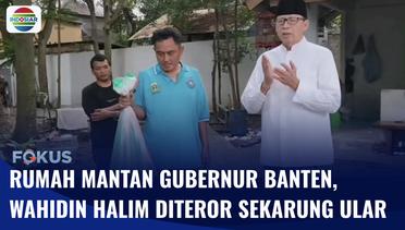 Rumah Mantan Gubernur Banten, Wahidin Halim Diteror Sekarung Ular Kobra | Fokus