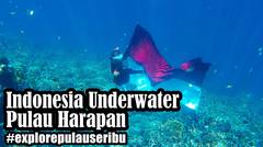 [Explore Pulau Seribu] Indonesia Underwater - Wisata Pulau Harapan
