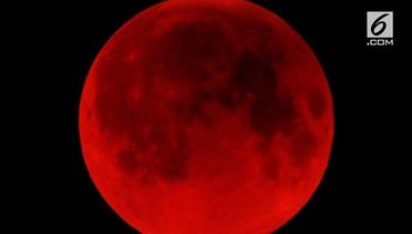 Apa itu Gerhana Bulan 'Micro Blood Moon'?
