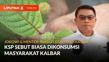 KSP Moeldoko Sebut Kratom Biasa Dikonsumsi Masyarakat Kalimantan Barat | Liputan 6