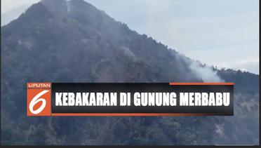 Upaya Petugas Padamkan Api di Gunung Merbabu dan Slamet - Liputan 6 Siang