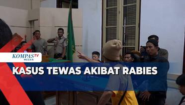 Momen Hakim PN Medan Bacakan Vonis Kasus Tewasnya Anak Akibat Rabies