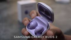 Bukan Penerus Buds Live!! // Review Samsung Galaxy Buds 2 Indonesia