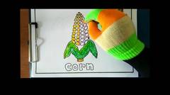 Corn - Coloring