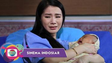 Sinema Indosiar - Istri yang Tak Dianggap Karena Tak Mampu Memberi Anak Lelaki