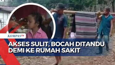 Viral Video Bocah Sakit Terpaksa Ditandu 1,5 Kilometer dengan Bambu dan Sarung