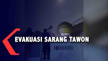 Petugas Damkar Medan Evakuasi Sarang Tawon