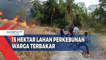 15 Hektar Lahan Perkebunan Warga Terbakar