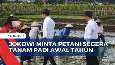 Hujan Mulai Turun, Presiden Jokowi Minta Petani Segera Tanam Padi Awal Tahun