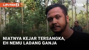 Polda Banten Temukan 3 Hektar Ladang Ganja di Aceh