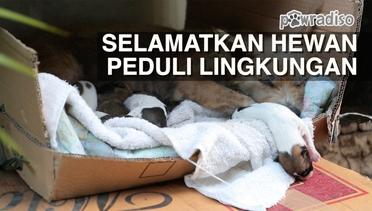 PAWRADISO : Menyelamatkan Induk Anjing dan Anak-anaknya yang Baru Melahirkan