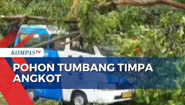 Hujan Deras dan Angin Kencang, Pohon Setinggi 5 Meter Timpa Angkot di Cakung