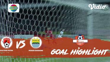 Kalteng Putra (0) vs (2)  Persib Bandung - Goal Highlights | Shopee Liga 1