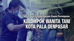 BRI Peduli Pemberdayaan Kaum Perempuan:  Kelompok Wanita Tani (KWT) Kota Pala Denpasar