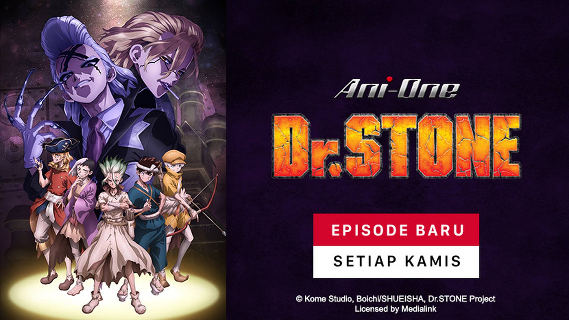 Dr. Stone