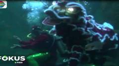 Sambut Imlek, Barongsai Beratraksi di Dalam Aquarium Seaworld