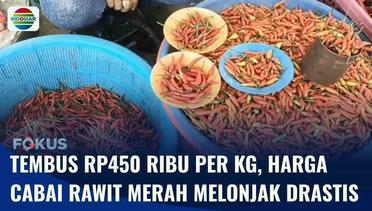 Harga Cabai Rawit Merah di Baubau Melonjak Drastis, Tembus Rp450 Ribu per Kilogram | Fokus